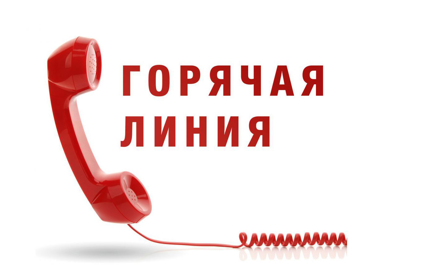 В Управлении Роспотребнадзора по Воронежской области открыта «горячая линия» по вопросам детского отдыха, качества и безопасности детских товаров.