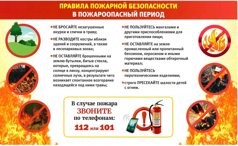 Об установлении особого противопожарного режима на территории Воронежской области.