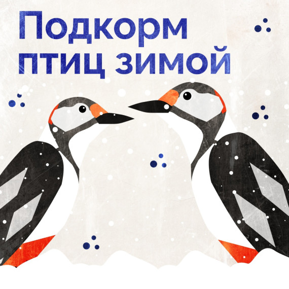 Покорми птиц. Покорми птиц.