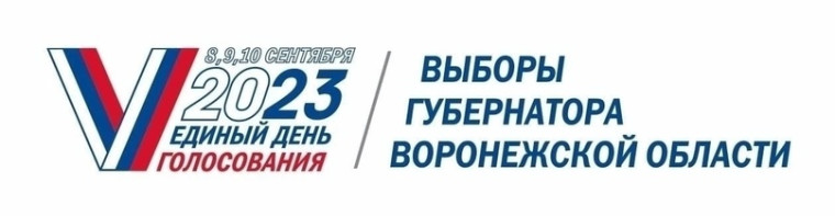 Выборы. Выборы.